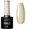 CLARESA GRAY UV/LED 5ml - NR 801