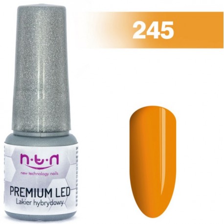 244. NTN Lakier żelowy LED/UV - PREMIUM 6ml