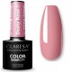 Claresa Dusty Rose nr8