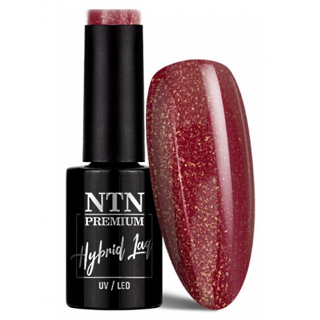 Lakier hybrydowy Ntn Premium Romantica Collection 5g Nr 102