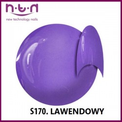 Żel kolorowy NTN S170