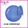 Żel kolorowy NTN S169
