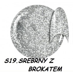 Żel kolorowy NTN S19 srebrny z brokatem