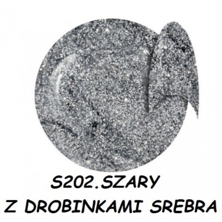 Żel kolorowy NTN S202